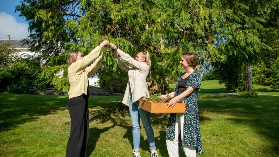 Naturfagstudentar ved barnehagelærarutdanninga
