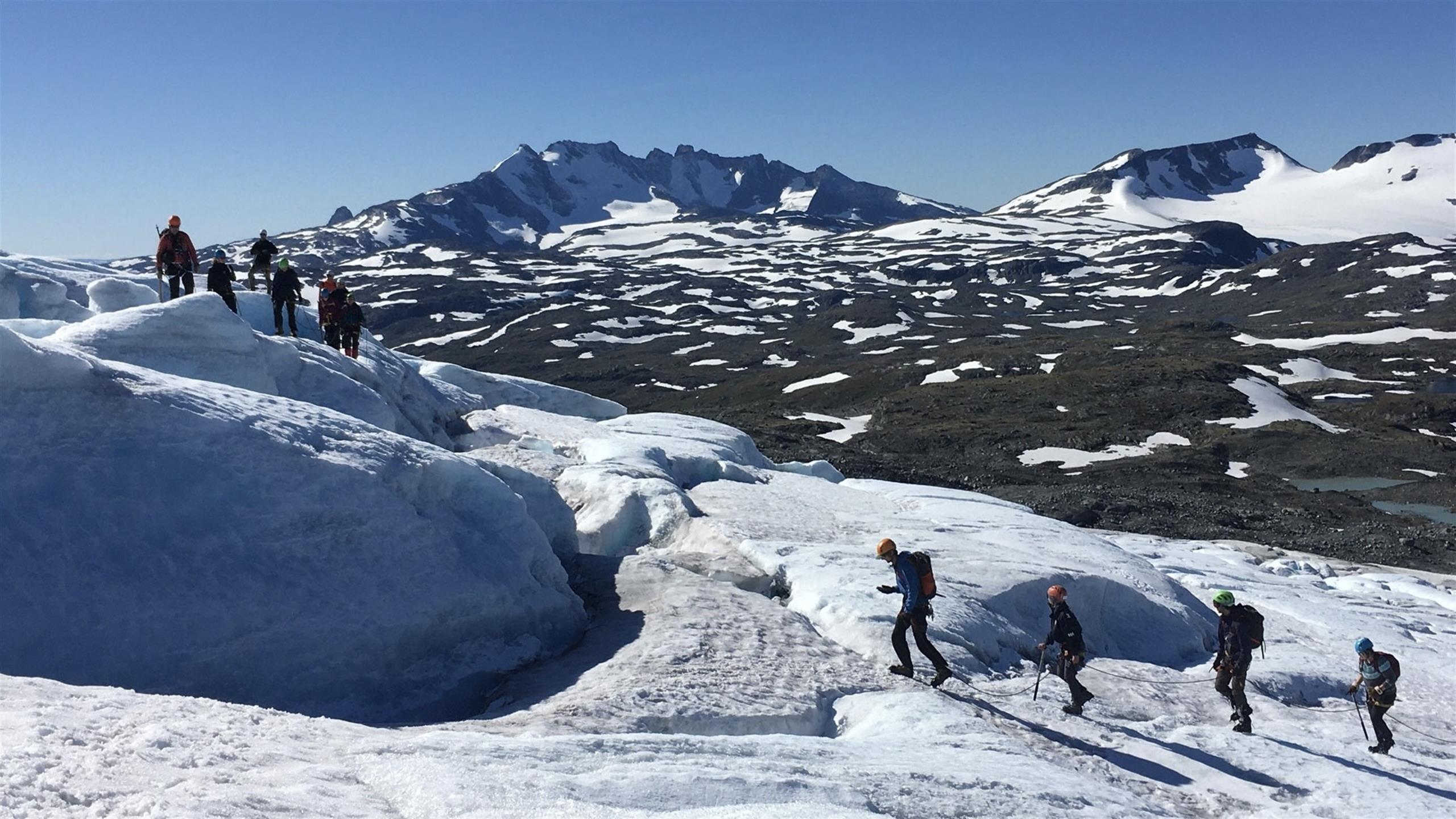 Gruppe på tur over en isbre.