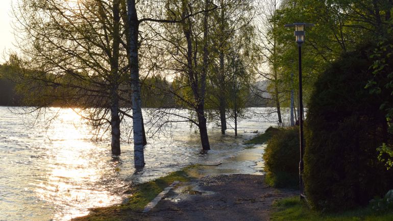 Gangvei og trær er oversvømt av en elv.