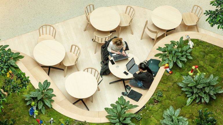 To studentar som sit og jobbar, sett ovanfrå.