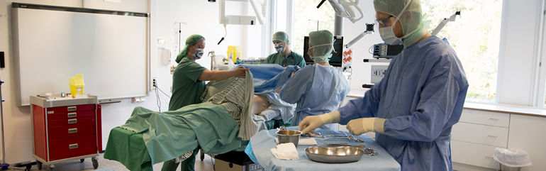 Operasjonssjukepleiestudentar ved HVL.