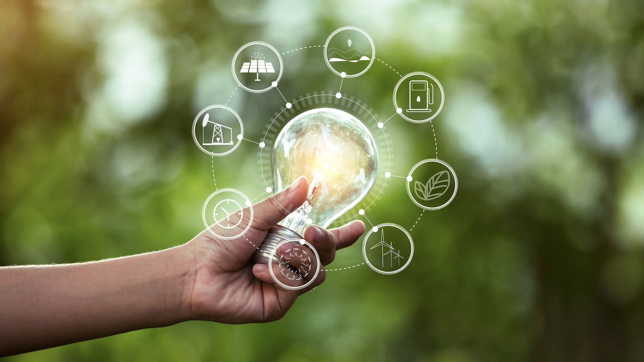 Hånd som holder en lyspære. Grønn bakgrunn og bærekraftssymboler rundt.