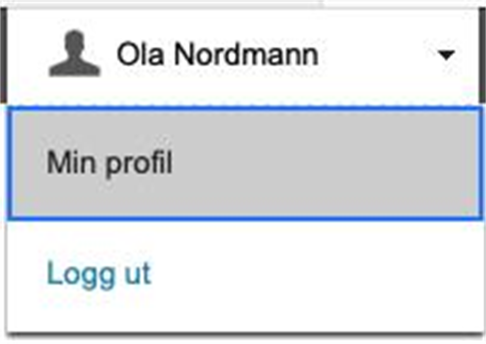 Under namnet, ligg «Min profil» og «Logg ut».