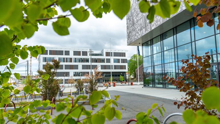 Bygg og grønne blader